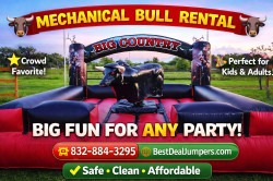Mechanical Bull